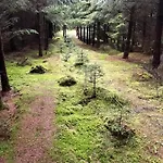 Srokowski Dwor 1 - Lesny Zakatek - Prywatna Sauna! Vakantiehuis Srokowo