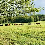 Srokowski Dwor 1 - Lesny Zakatek - Prywatna Sauna!