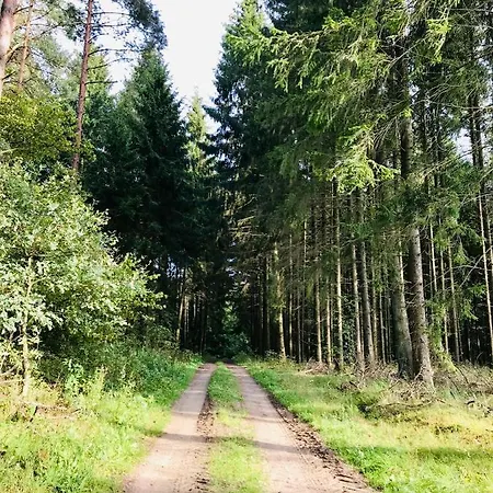 Srokowski Dwór 1 - Leśny Zakątek - Prywatna Sauna! Srokowo