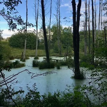 Srokowski Dwor 1 - Lesny Zakatek - Prywatna Sauna! Srokowo