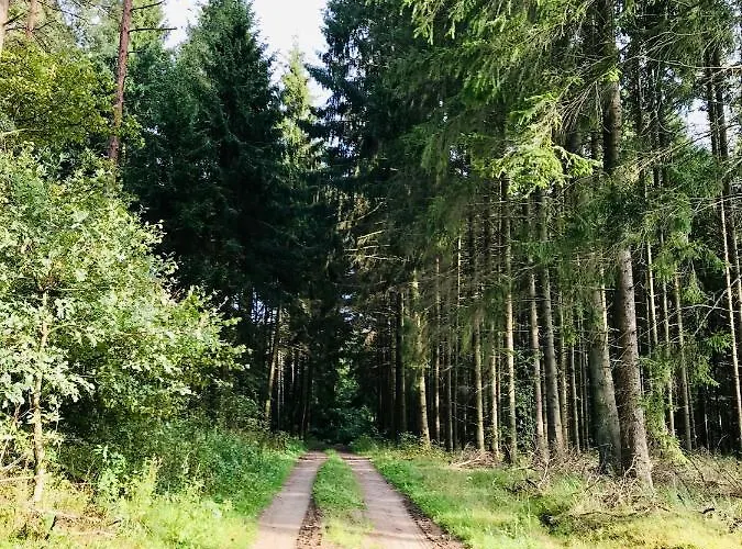 Srokowski Dwór 1 - Leśny Zakątek - Prywatna Sauna! Srokowo