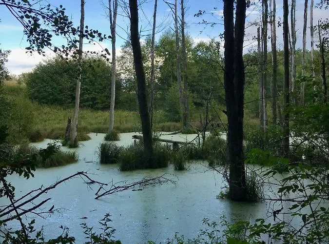 Srokowski Dwór 1 - Leśny Zakątek - Prywatna Sauna! Srokowo