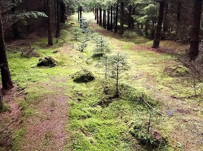 Srokowski Dwór 1 - Leśny Zakątek - Prywatna Sauna! Сasa de vacaciones Srokowo