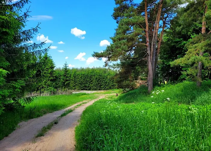 Srokowski Dwór 1 - Leśny Zakątek - Prywatna Sauna! *